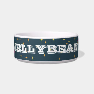 Gepersonaliseerde Retro Pet Bowl: helder en leuk Voerbakje