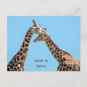 Gepersonaliseerde romantische giraffe-omhelzingen briefkaart