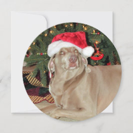 Gepersonaliseerde ronde weimaraner Dog Kerstmis Feestdagenkaart