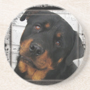 Gepersonaliseerde rottweiler zandsteen onderzetter