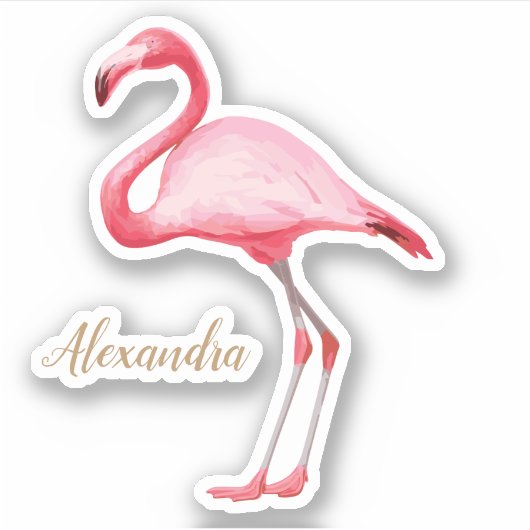 Gepersonaliseerde roze flamingo sticker (Voorkant)