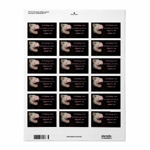 Gepersonaliseerde Roze Mini Pig Adresetiketten Etiket