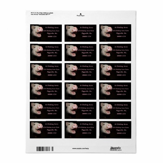Gepersonaliseerde Roze Mini Pig Adresetiketten Etiket (Full Sheet)