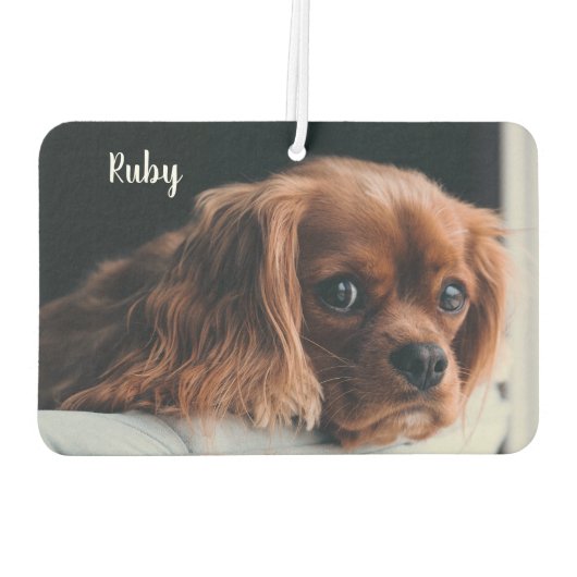 Gepersonaliseerde Ruby Cavalier King Charles Spani Luchtverfrisser (Achterkant)
