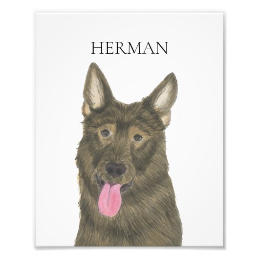 Gepersonaliseerde Sable Shepherd Art Foto Afdruk (Voorkant)