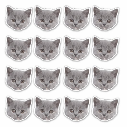 Gepersonaliseerde Schattigee Cat Face 16 Foto's Vi Sticker (Voorkant)