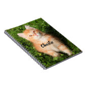 Gepersonaliseerde Schattigee Fluffy Oranje Tabby C Notitieboek (Rechterzijde)