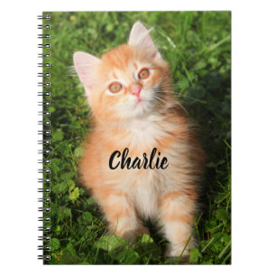 Gepersonaliseerde Schattigee Fluffy Oranje Tabby C Notitieboek