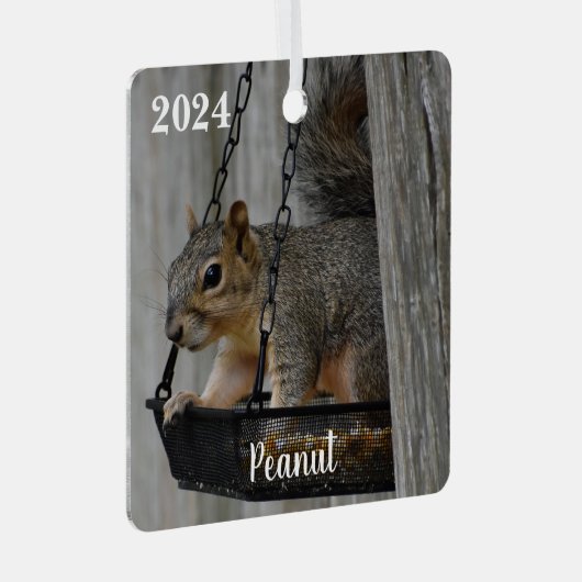 Gepersonaliseerde Schattigee Fox Squirrel Metalen Ornament (Voorkant Rechts)