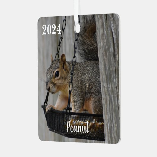 Gepersonaliseerde Schattigee Fox Squirrel Metalen Ornament (Voorkant links)