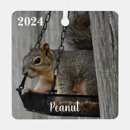 Gepersonaliseerde Schattigee Fox Squirrel Metalen Ornament (Achterkant)
