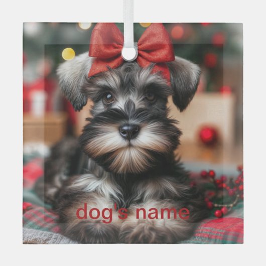 Gepersonaliseerde schnauzer glas ornament (Voorkant)