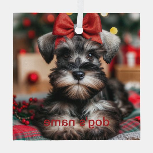 Gepersonaliseerde schnauzer glas ornament (Achterkant)