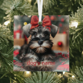 Gepersonaliseerde schnauzer glas ornament