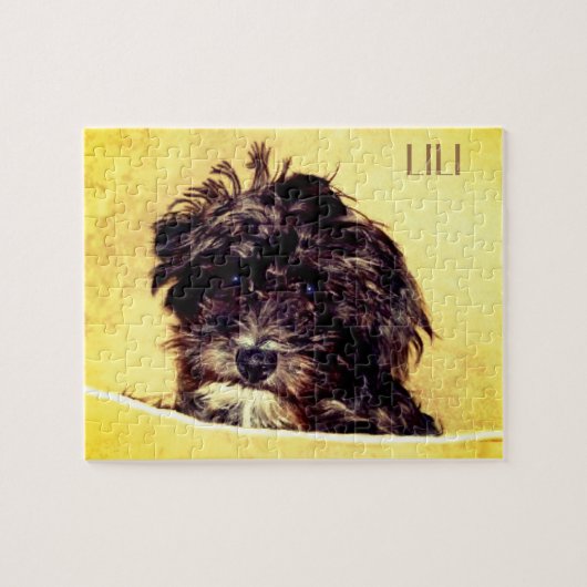 Gepersonaliseerde Schnoodle Puzzel (Horizontaal)