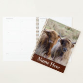 Gepersonaliseerde Schotse hoogland Koeien Planner (Display)
