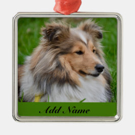 Gepersonaliseerde Shetland Sheepdog - Sheltie Dog Metalen Ornament