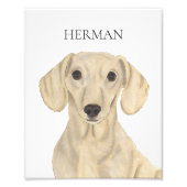Gepersonaliseerde Smooth Cream Dachshund Art Foto Afdruk (Voorkant)