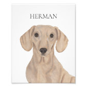 Gepersonaliseerde Smooth Red Dachshund Art Foto Afdruk (Voorkant)