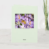 Gepersonaliseerde Spring Crocus Custom Text Verjaa Feestdagen Kaart (Achterkant)