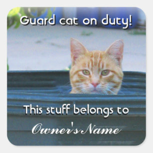 Gepersonaliseerde Sticker van het kind—Guard Cat o