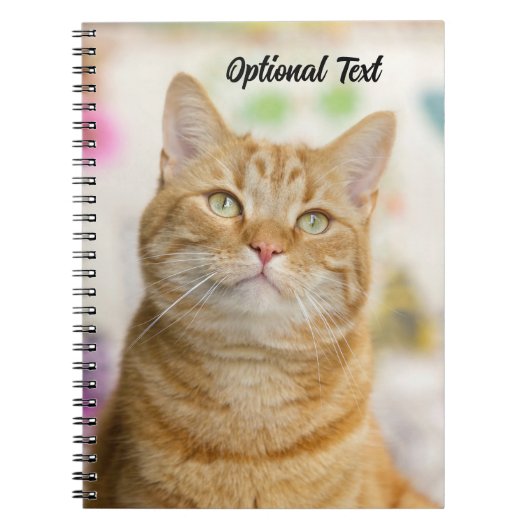 Gepersonaliseerde Sweet Oranje Tabby Cat Notitieboek (Voorkant)