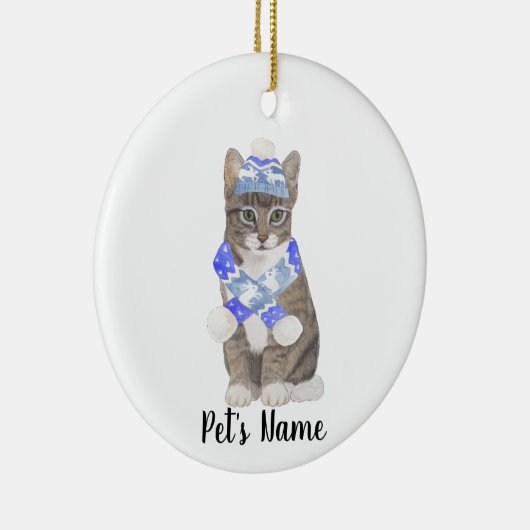 Gepersonaliseerde Tabby Cat (Grey) Blue Ski Pet &  Keramisch Ornament (Rechts)