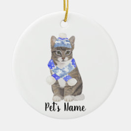 Gepersonaliseerde Tabby Cat (Grey) Blue Ski Pet &  Keramisch Ornament