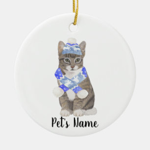 Gepersonaliseerde Tabby Cat (Grey) Blue Ski Pet &  Keramisch Ornament