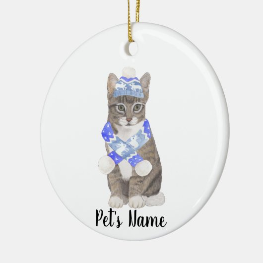 Gepersonaliseerde Tabby Cat (Grey) Blue Ski Pet &  Keramisch Ornament (Links)