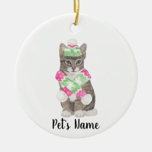 Gepersonaliseerde Tabby Cat (Grijs) Roze & Groene  Keramisch Ornament