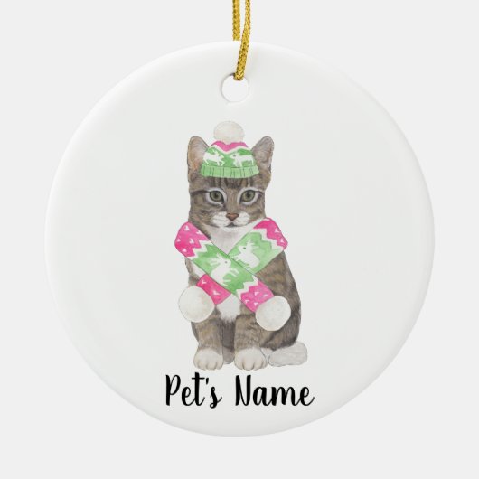 Gepersonaliseerde Tabby Cat (Grijs) Roze & Groene  Keramisch Ornament (Voorkant)