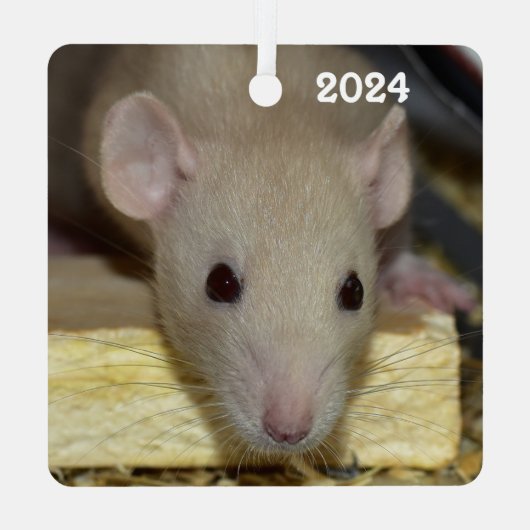 Gepersonaliseerde Tan Beige Dumbo Fancy Pet Rat Metalen Ornament (Achterkant)