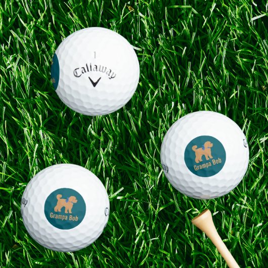 Gepersonaliseerde Tan Doodle Dog op Donkerblauw Gr Golfballen