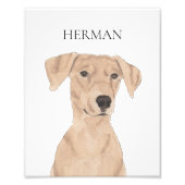 Gepersonaliseerde Tan German Pinscher Art Foto Afdruk (Voorkant)