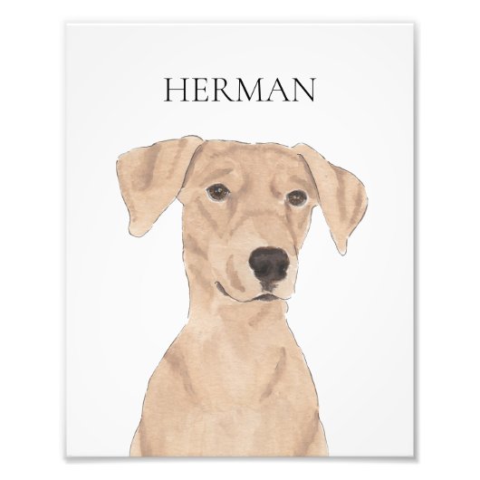 Gepersonaliseerde Tan German Pinscher Art Foto Afdruk (Voorkant)