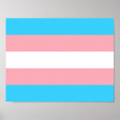 Gepersonaliseerde transgender vlag poster (Voorkant)