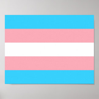 Gepersonaliseerde transgender vlag poster