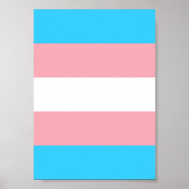 Gepersonaliseerde transgender vlag poster