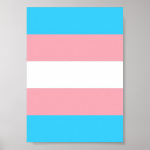 Gepersonaliseerde transgender vlag poster