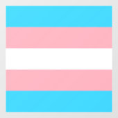 Gepersonaliseerde transgender vlag raamsticker (Vel)