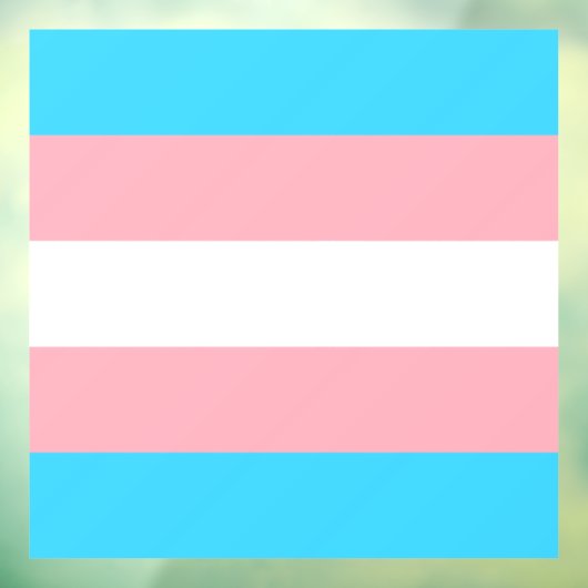 Gepersonaliseerde transgender vlag raamsticker (Vel 3)