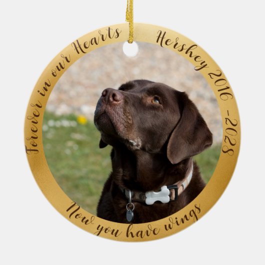 Gepersonaliseerde Tribute Chocolate Lab Foto Engel Keramisch Ornament (Achterkant)