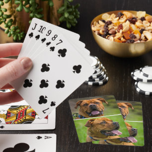 Gepersonaliseerde twee huisdier foto pokerkaarten