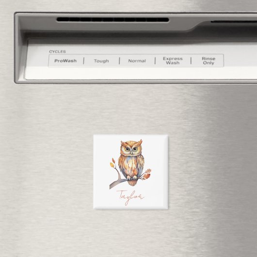 Gepersonaliseerde Uil Magneet (Insitu (Vaatwasser))