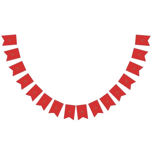 Gepersonaliseerde Verjaardag & Wedding Bunting Ban Vlaggetjes (Alle)