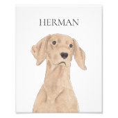 Gepersonaliseerde Vizsla Art Foto Afdruk (Voorkant)