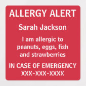 Gepersonaliseerde voedselallergie Alert Kinder kin Labels (Design 1)