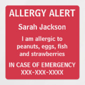 Gepersonaliseerde voedselallergie Alert Kinder kin Labels (Design 2)