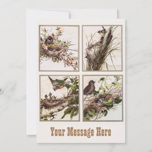 Gepersonaliseerde vogelmam en vogelgriep - Baby va Bedankkaart (Voorkant)